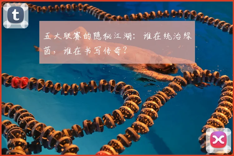 五大联赛的隐秘江湖：谁在统治绿茵，谁在书写传奇？