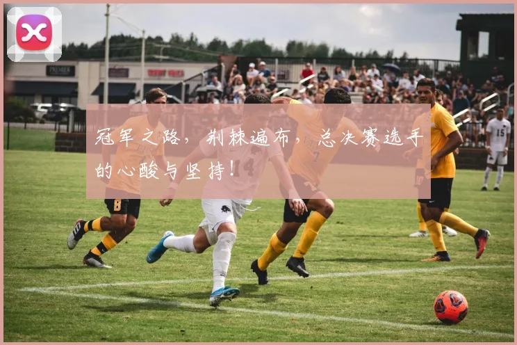 冠军之路,荆棘遍布,总决赛选手的心酸与坚持!