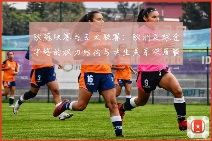 欧冠联赛与五大联赛:欧洲足球金字塔的权力结构与共生关系深度解析